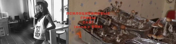 не бодяженный Алексин