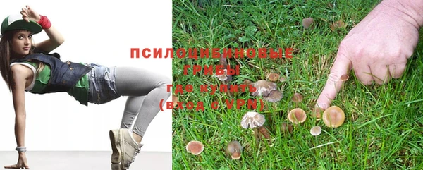 не бодяженный Алексин