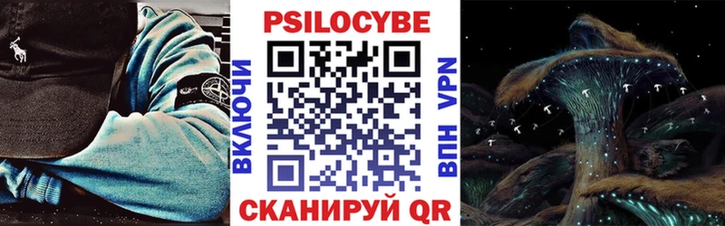 Псилоцибиновые грибы GOLDEN TEACHER  где можно купить наркотик  Вилючинск 